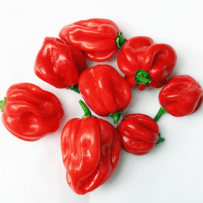 Rodo Pepper - Red 1kg